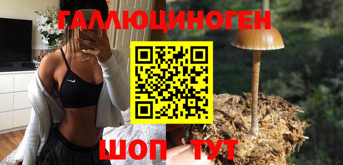 Галлюциногенные грибы Cubensis  Вход с VPN  закладка  Кимовск  Галлюциногенные грибы Magic Shrooms 