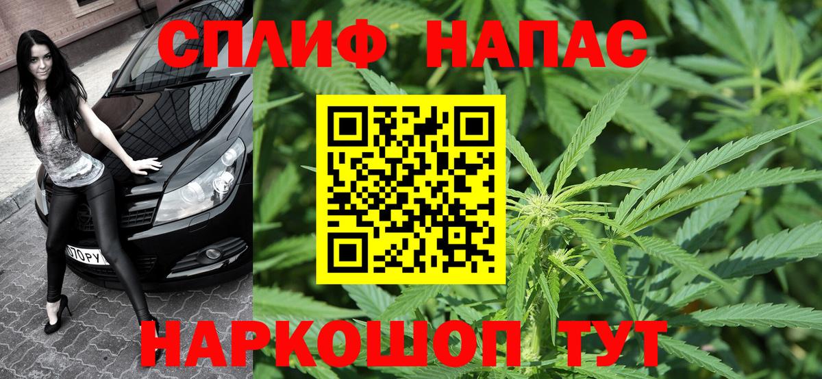 Марихуана сатива Кимовск